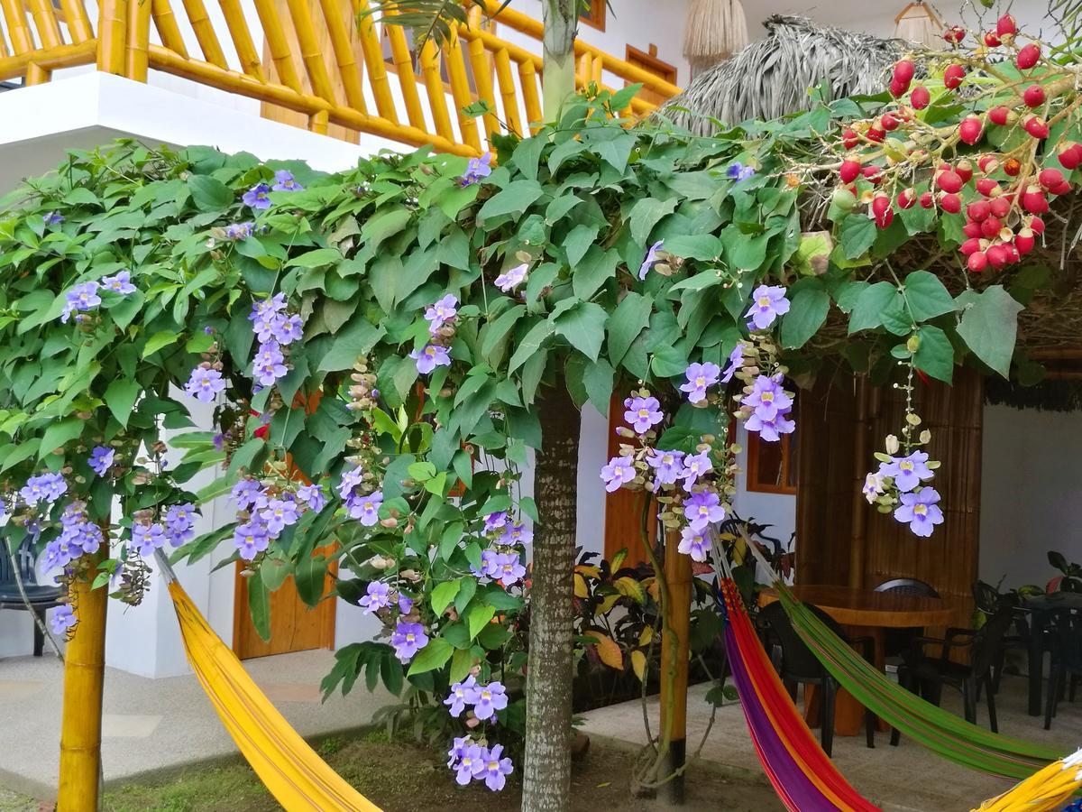 La Mariposa Hostal Olón Kültér fotó